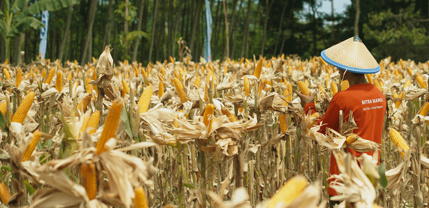 Pertanian Terintegrasi