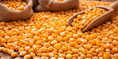 Penyediaan Sarana Produksi