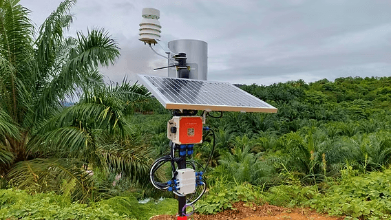 Sensor Cuaca (Lapangan)